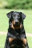 BEAUCERON 853